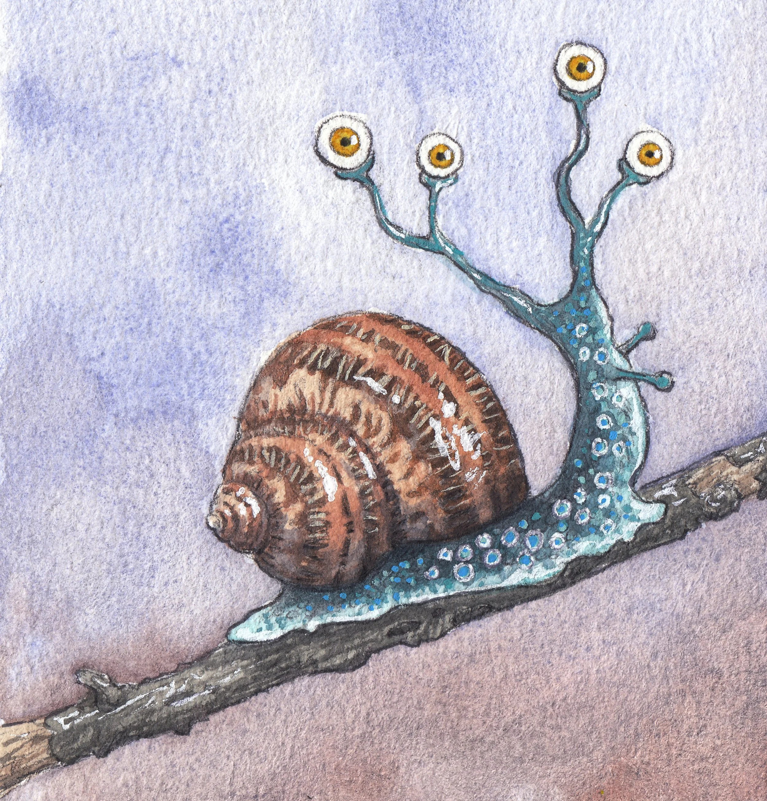Snail Eyes version 2 watercolor and ink 4x4 painting