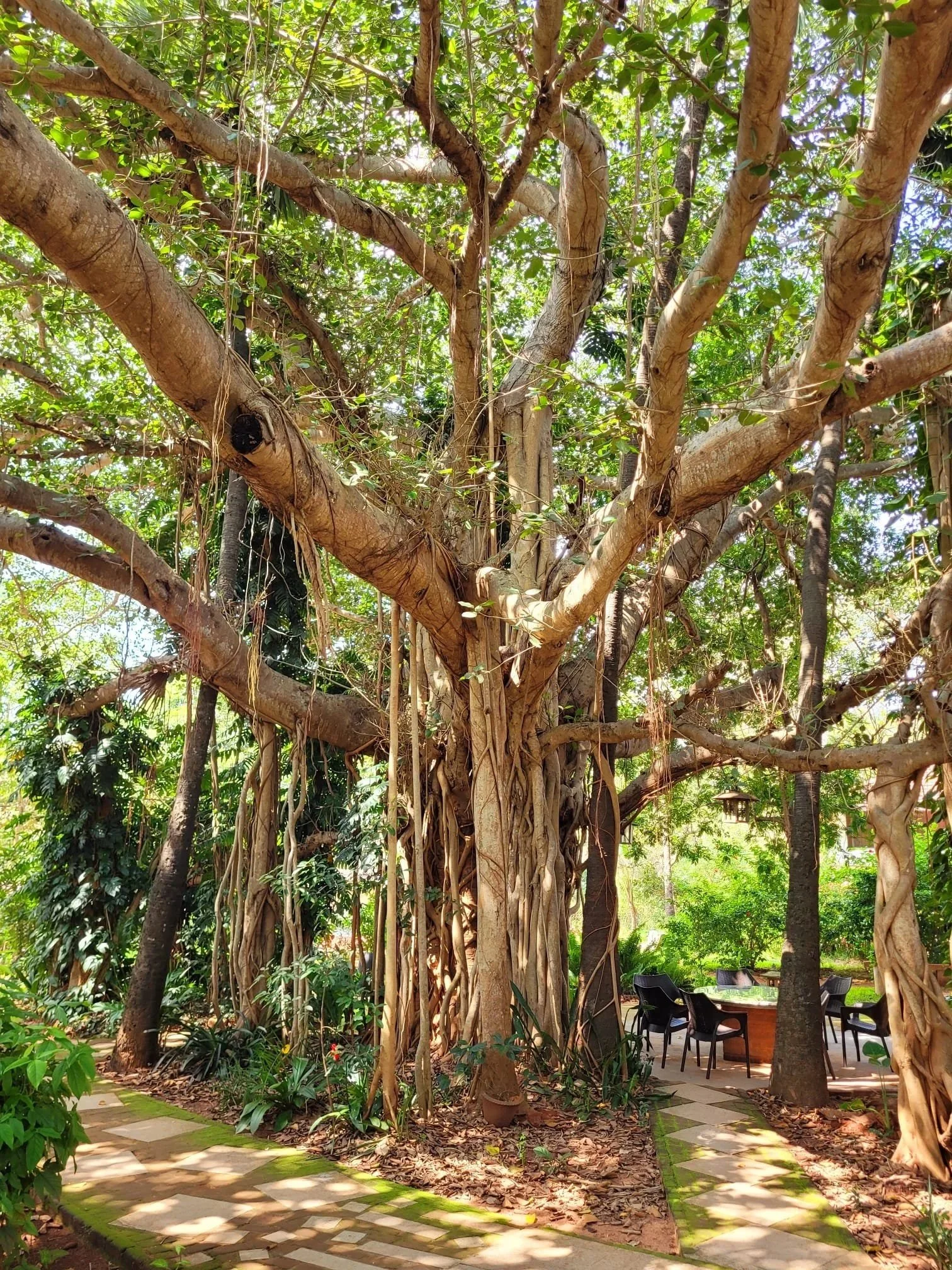 Was ist Schamanismus? 