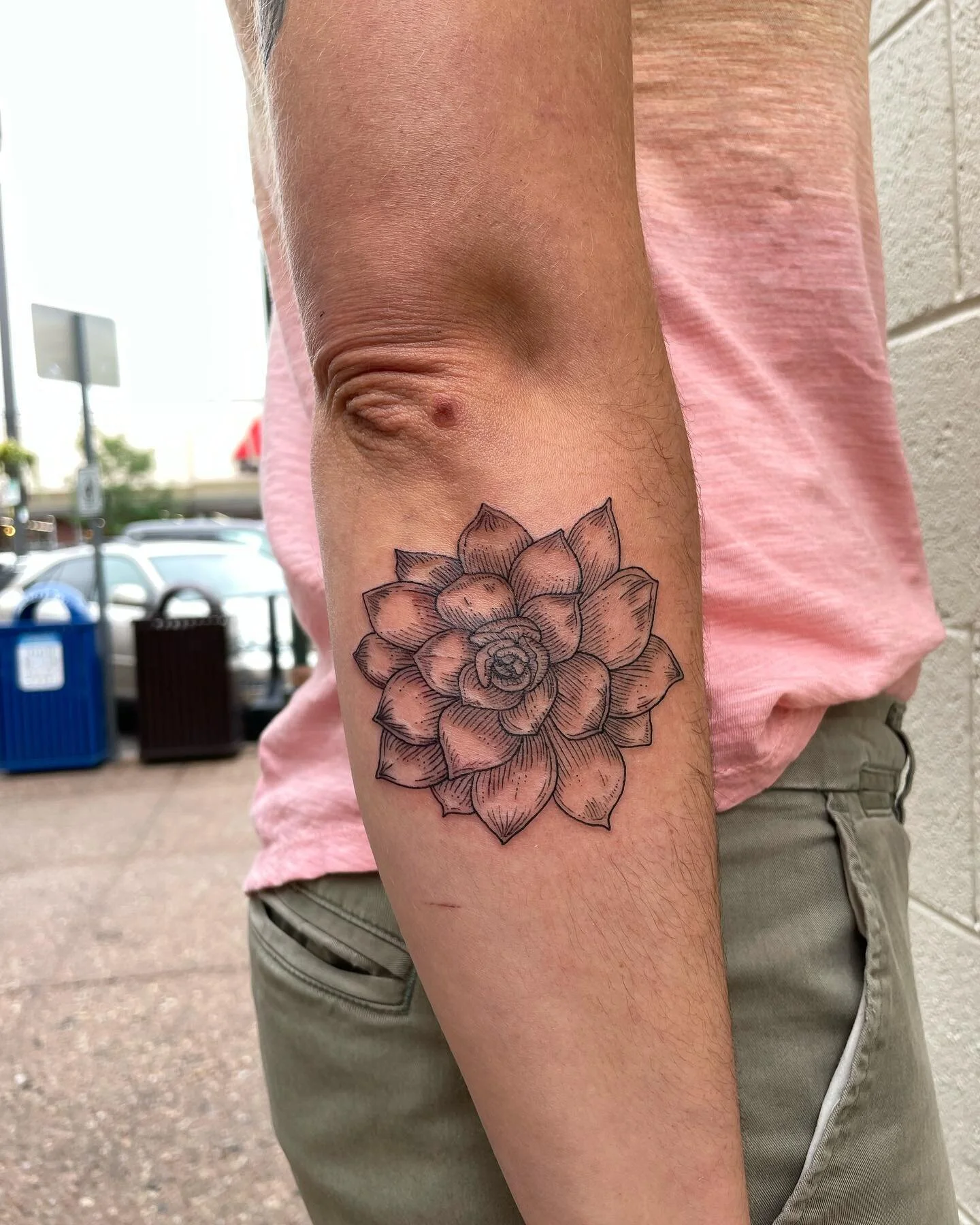 Finish the sentence&mdash; 
&ldquo;Me succi succi now now, _____&rdquo;

Lmao it&rsquo;s a niche joke but my Tik tok stans will get it and that&rsquo;s all that matters

Thanks for getting this gorgeous little succ, Laura! 

&bull;
&bull;
&bull;

#se