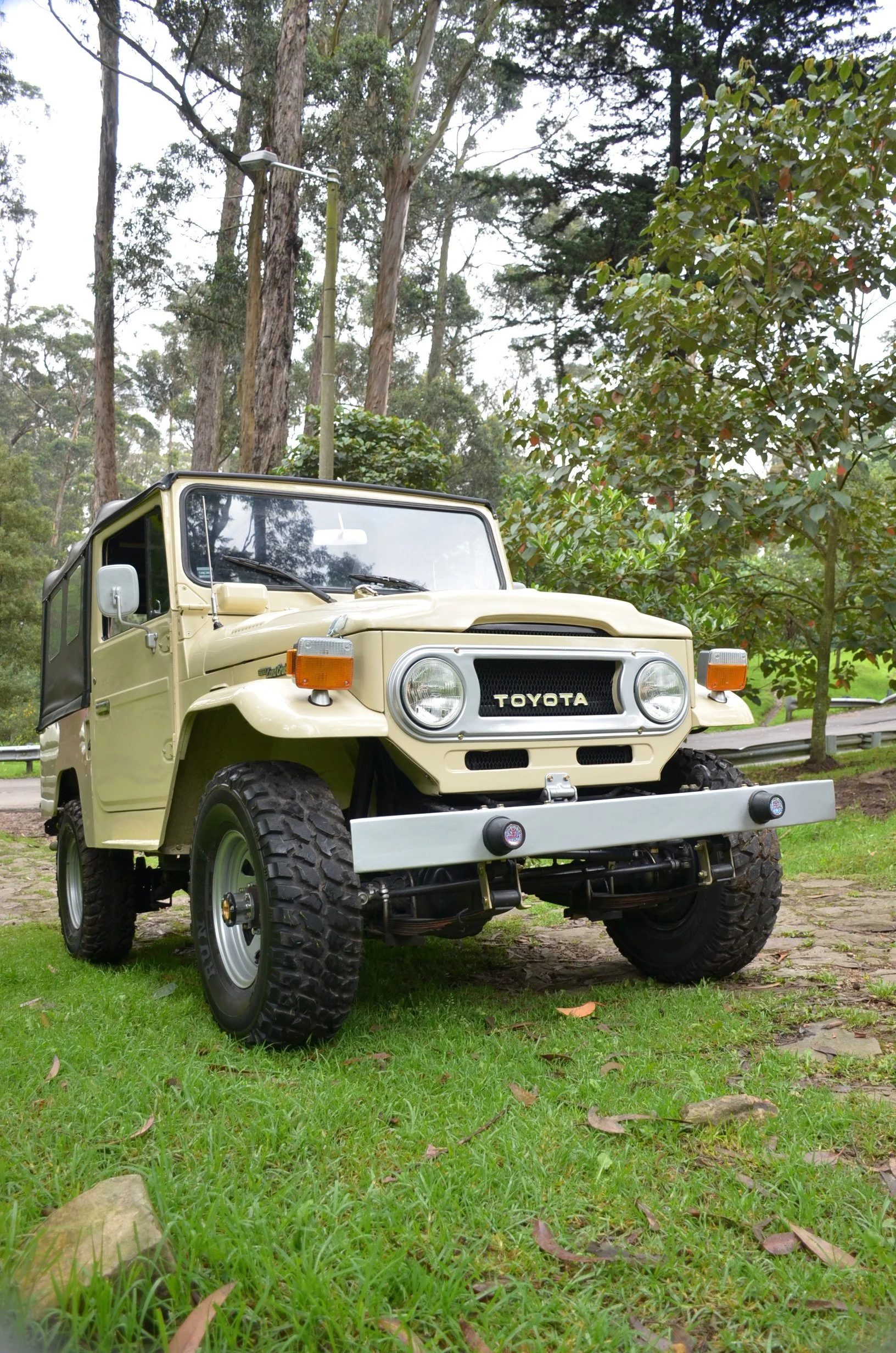 DSC_8084.JPG