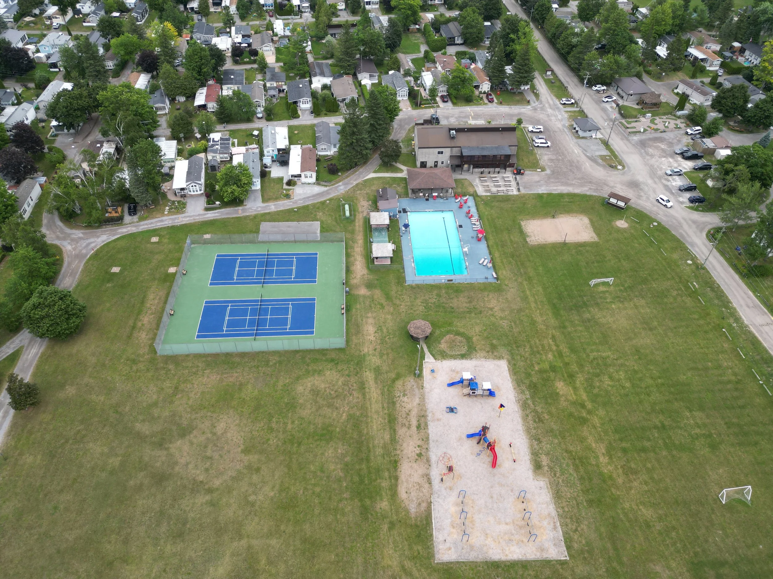 Play, Swim, and Climb