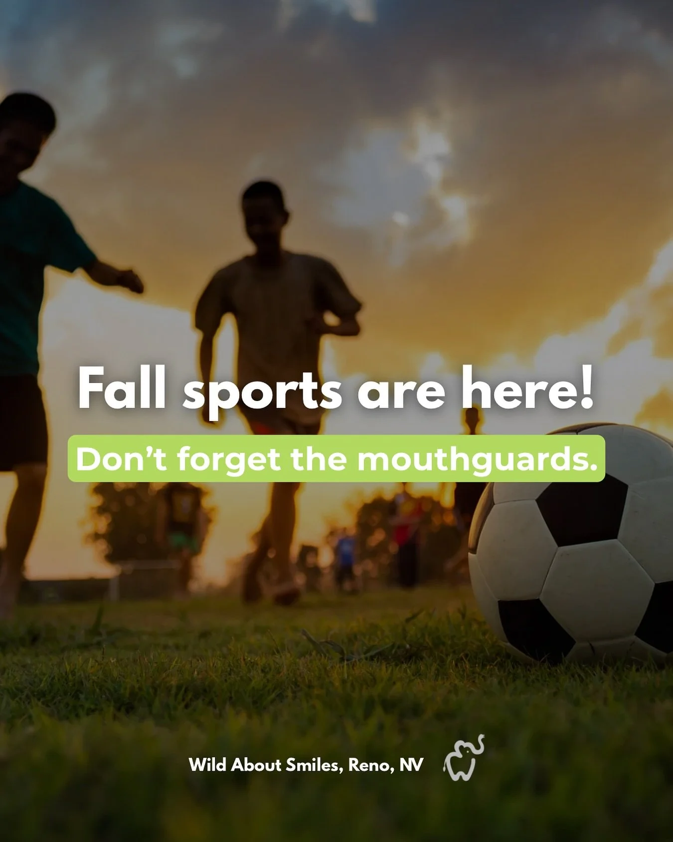 🏈⚽️🏒 Fall sports are here. Don&rsquo;t forget the mouthguards!

Mouthguards protect teeth (and gums!) from injuries that can happen during practices and games. A custom-fit mouthguard offers the best protection and comfort for your child.

⚡ Pro ti