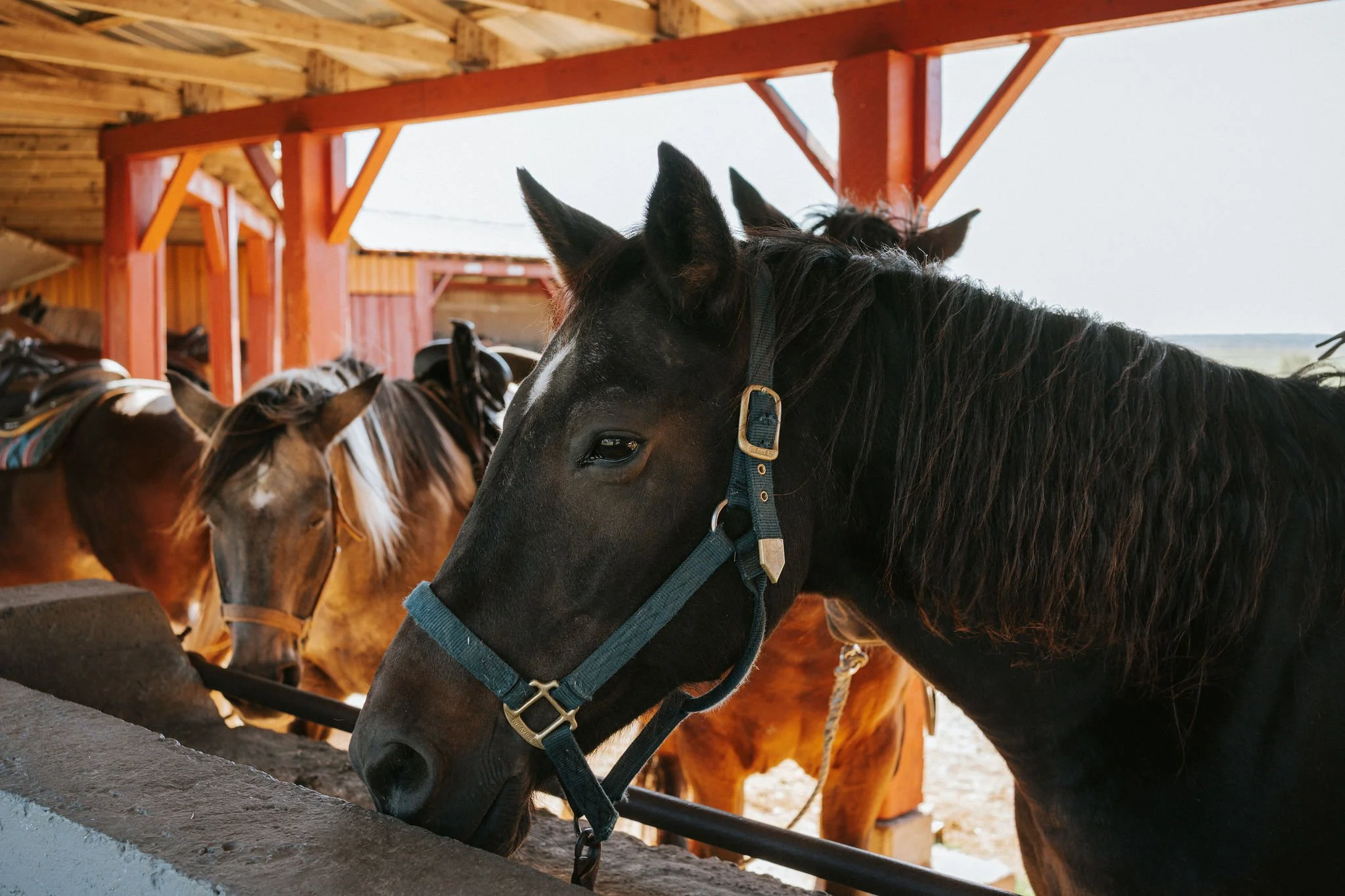 Wellness getaway in New Brunswick
