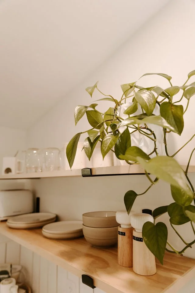 Minimalistic design cabins in Nature