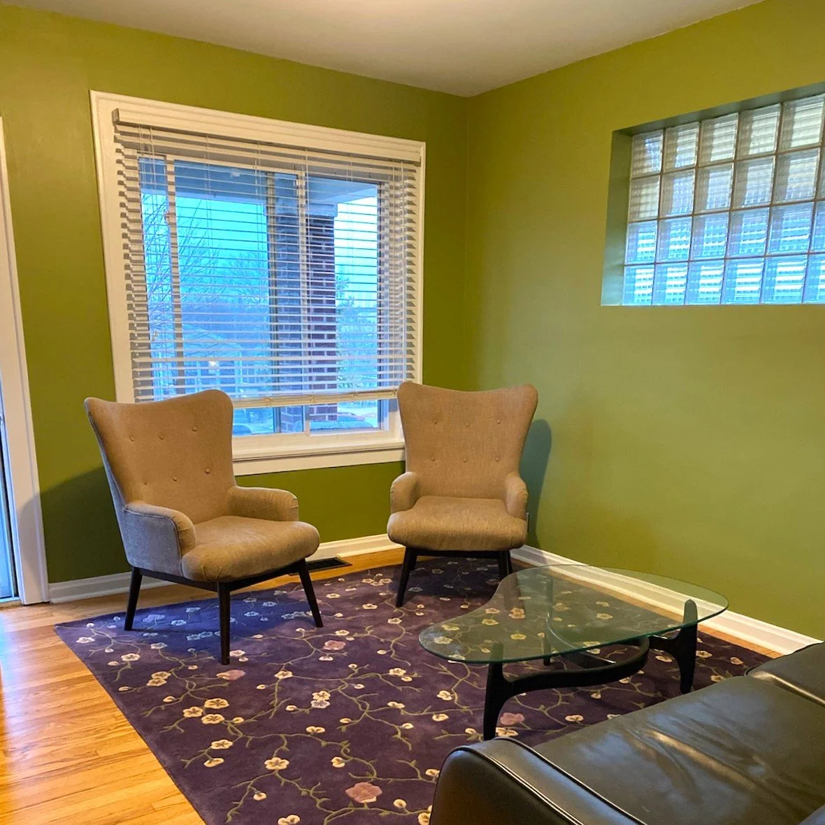 Sherwin-Williams Parakeet SW6712 living room. Consultation from paint color specialist in St. Louis, MO.