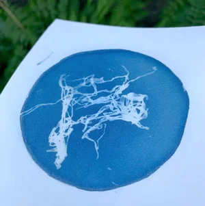 KMD Artist Interview: Marisa Pahl — Kate Michelle Design