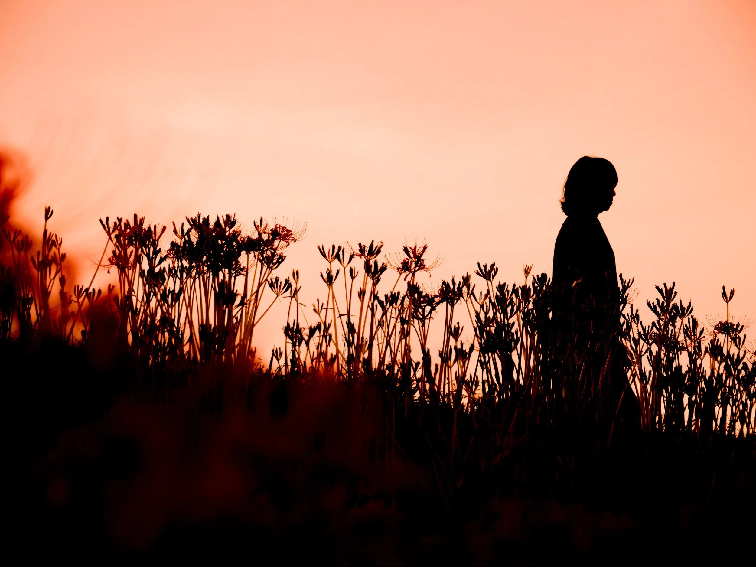 Owning Your Truth
