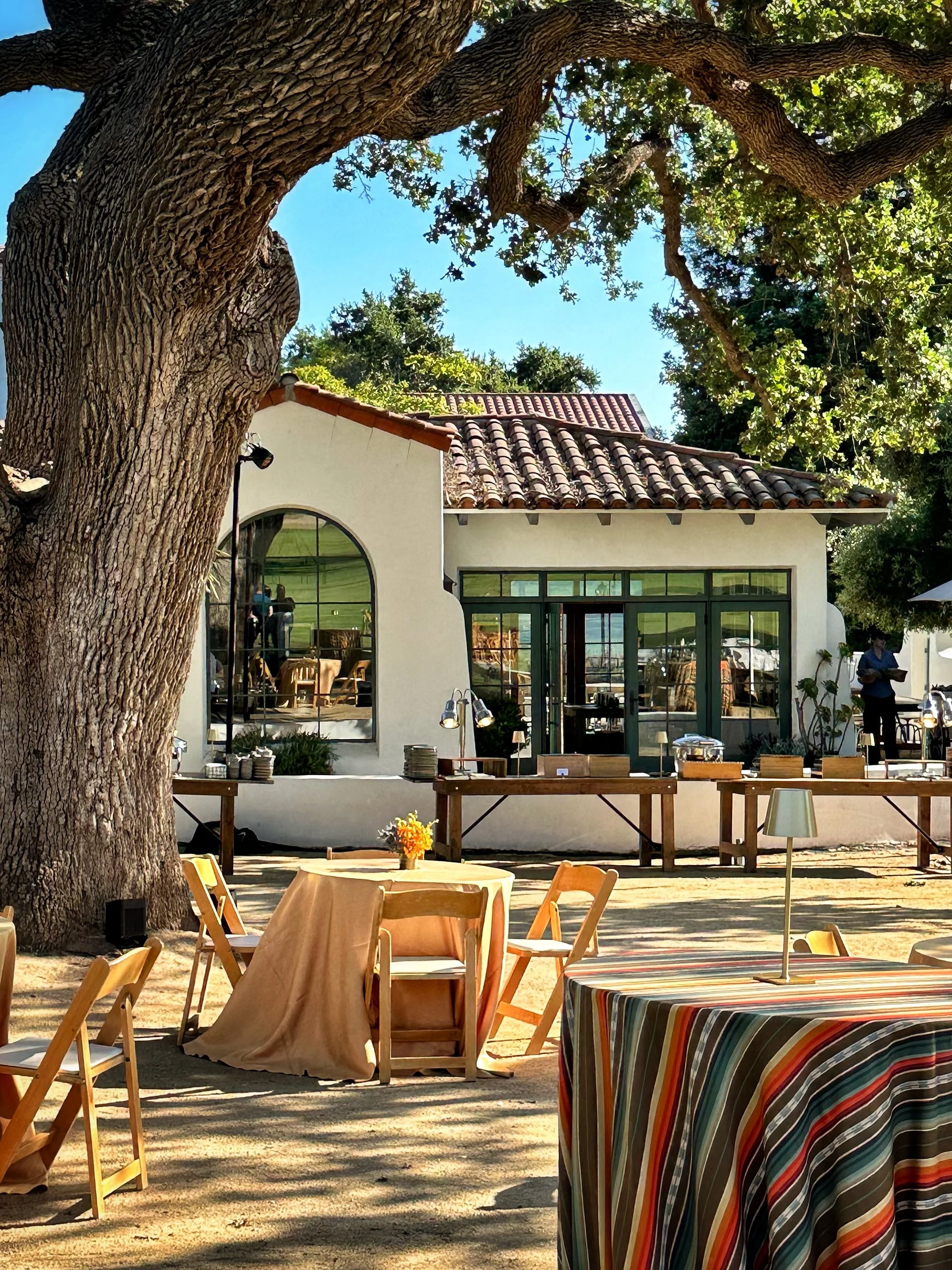 2024-06-25 17.34.57-1.jpg