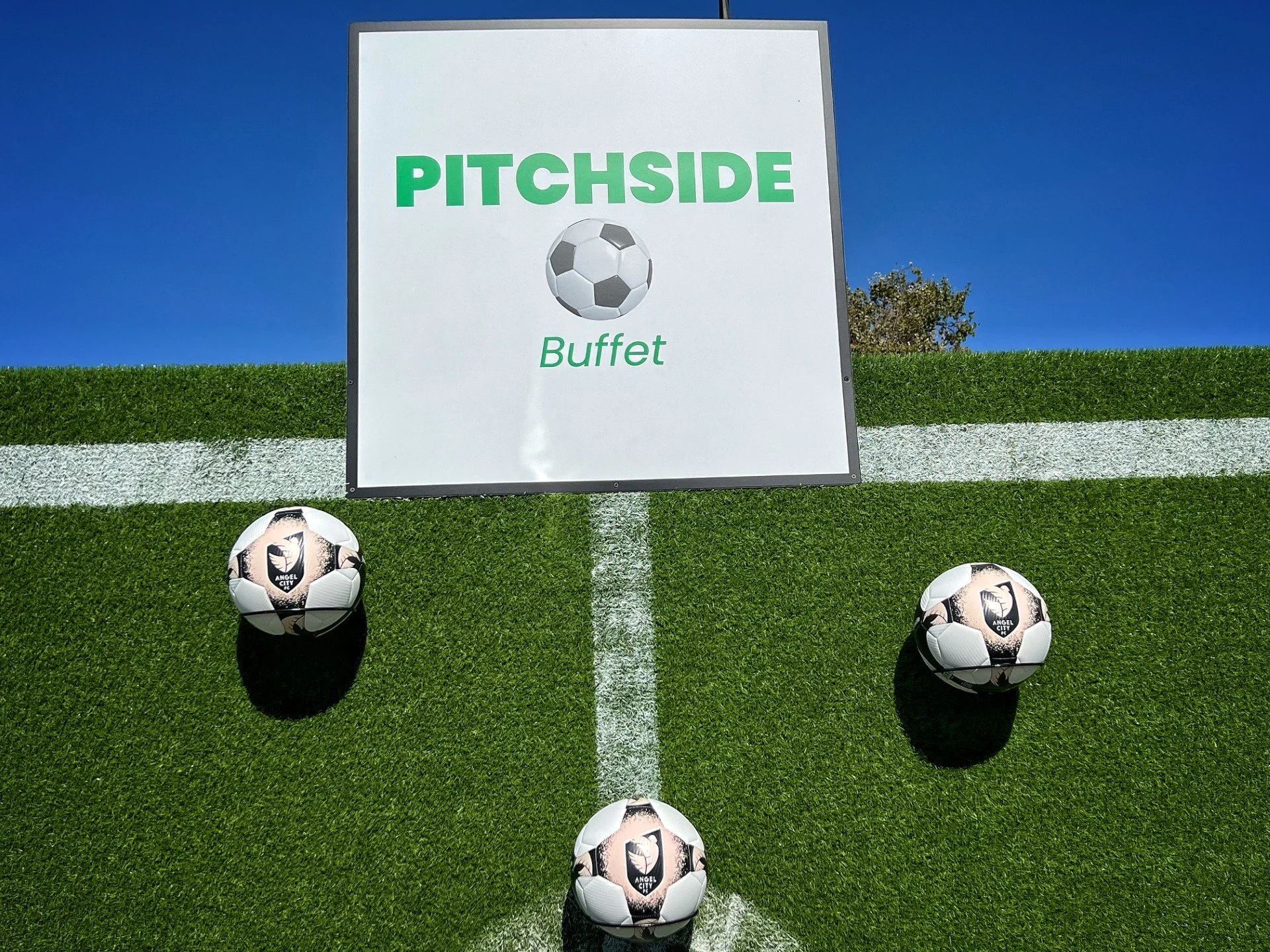 Pitchside.AngelCitySoccerBalls.jpg