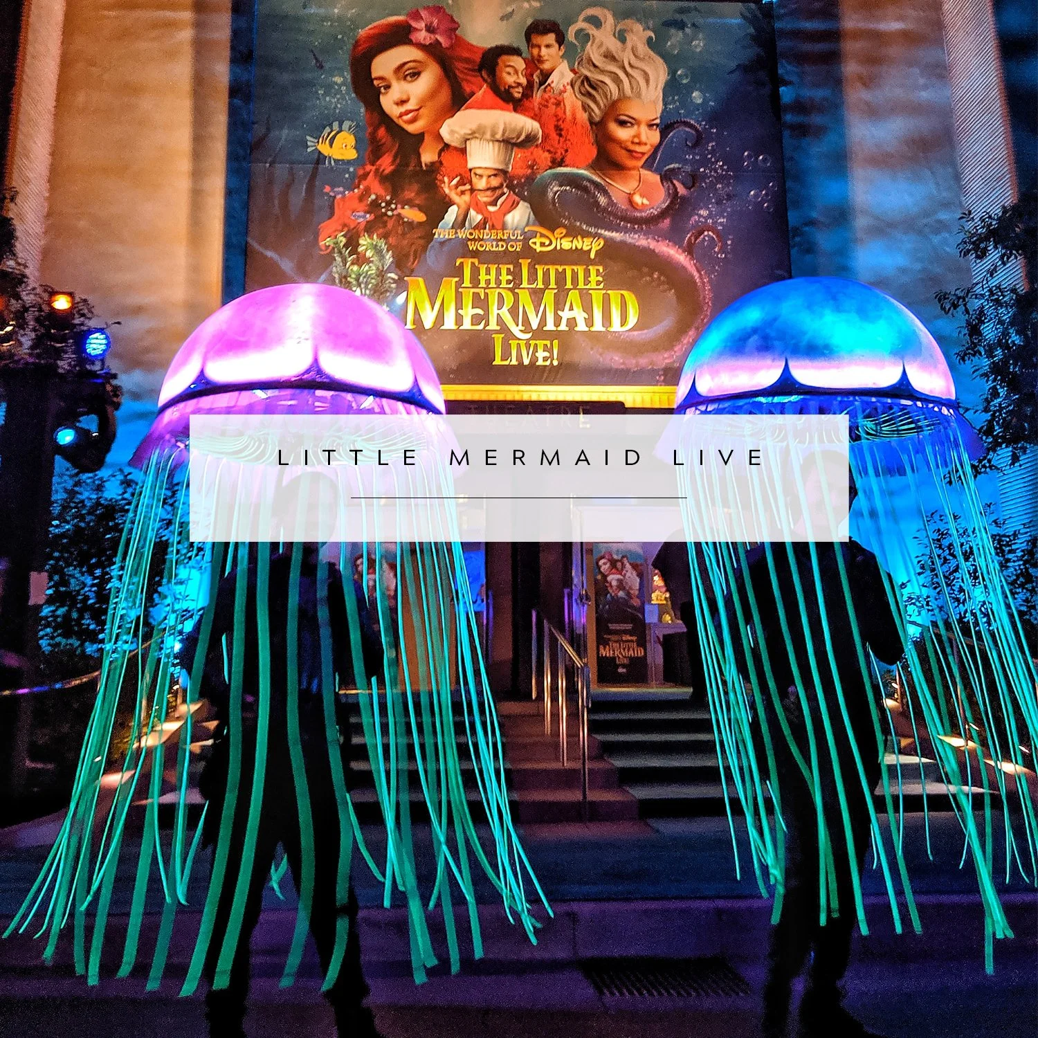 Los Angeles Live Event Design & Production Agency | Global Reach | AOO ...