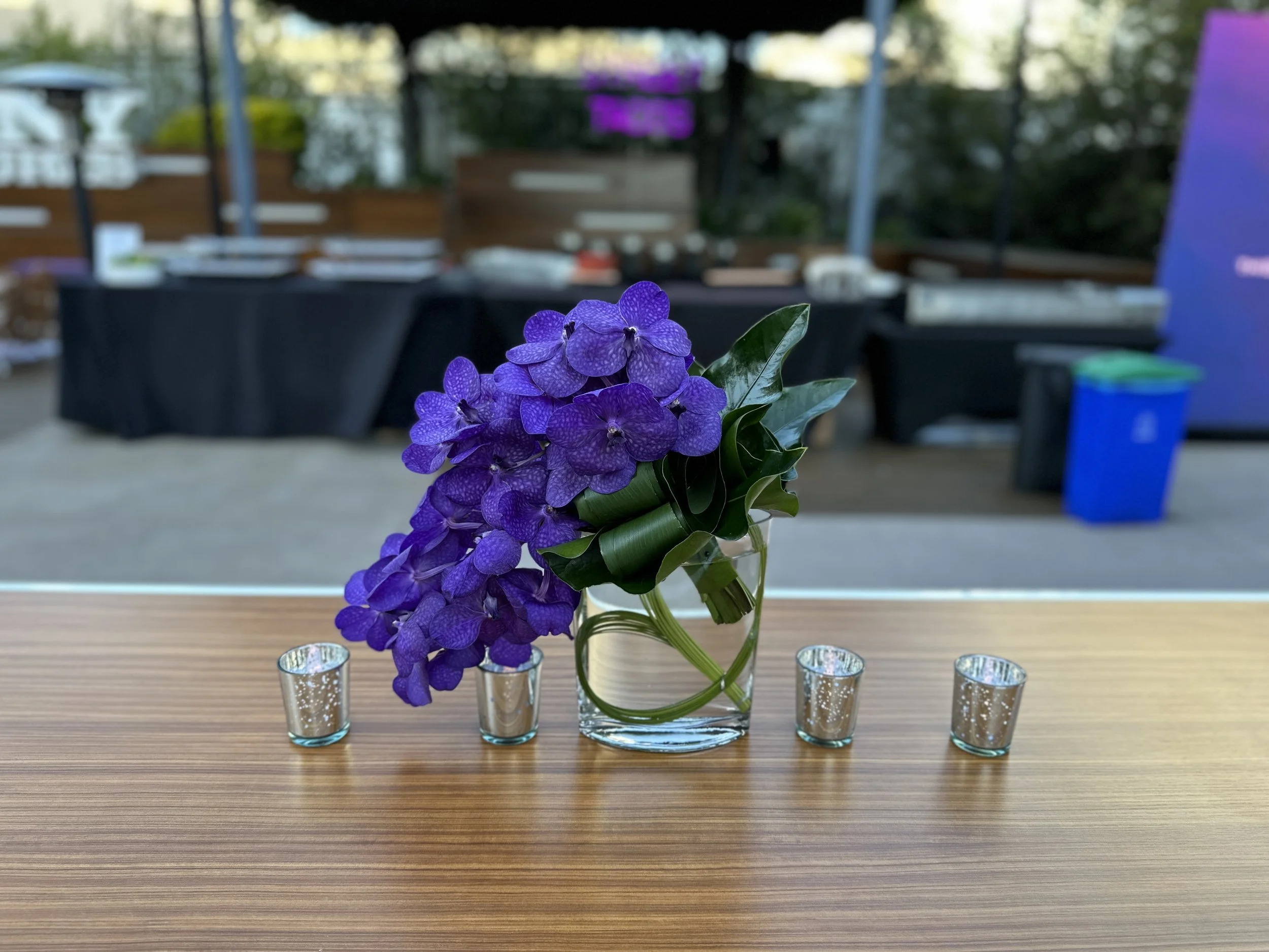 SonyScreening.AP.Flowers2.jpg