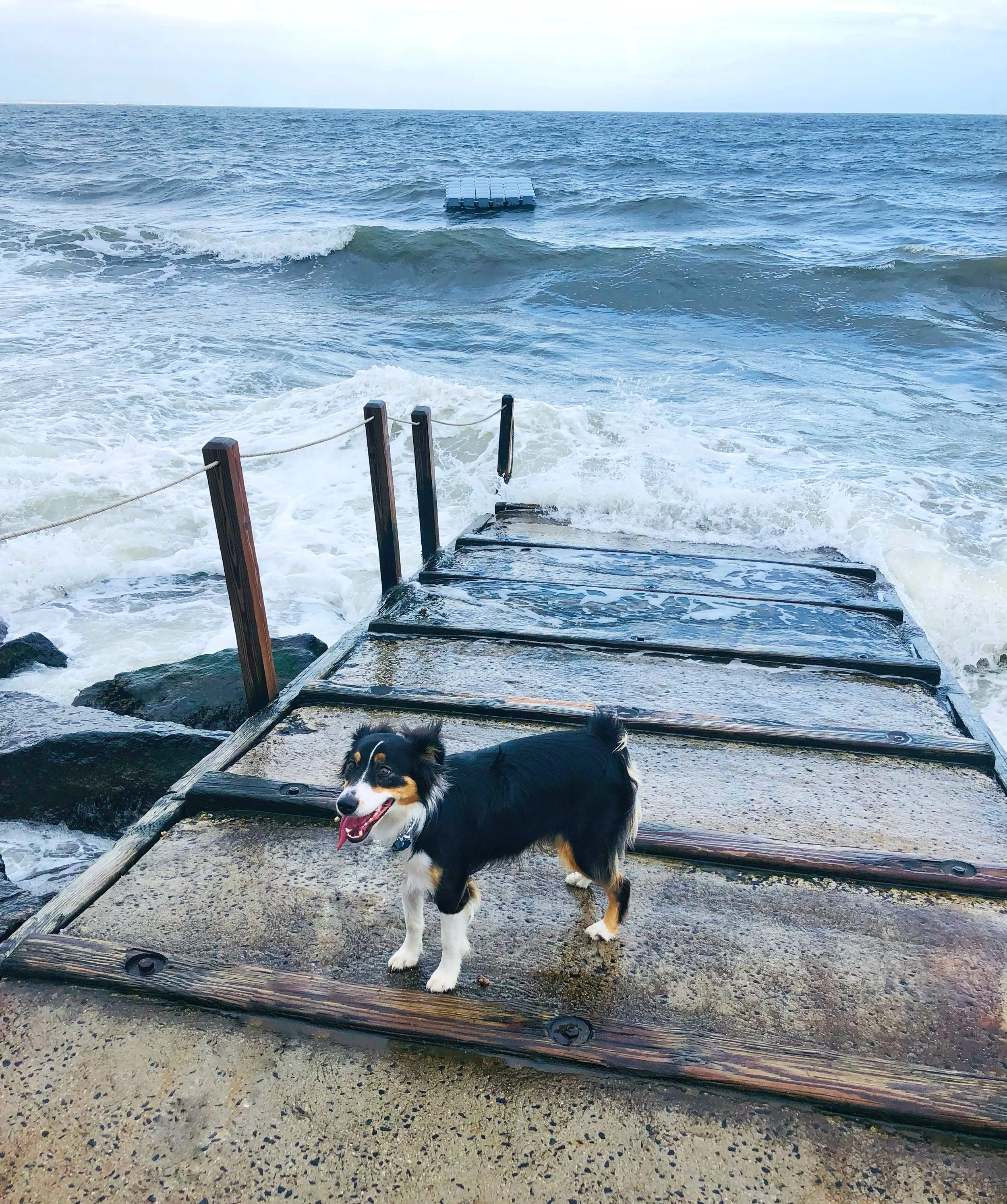 Morningside Moments by Ann $