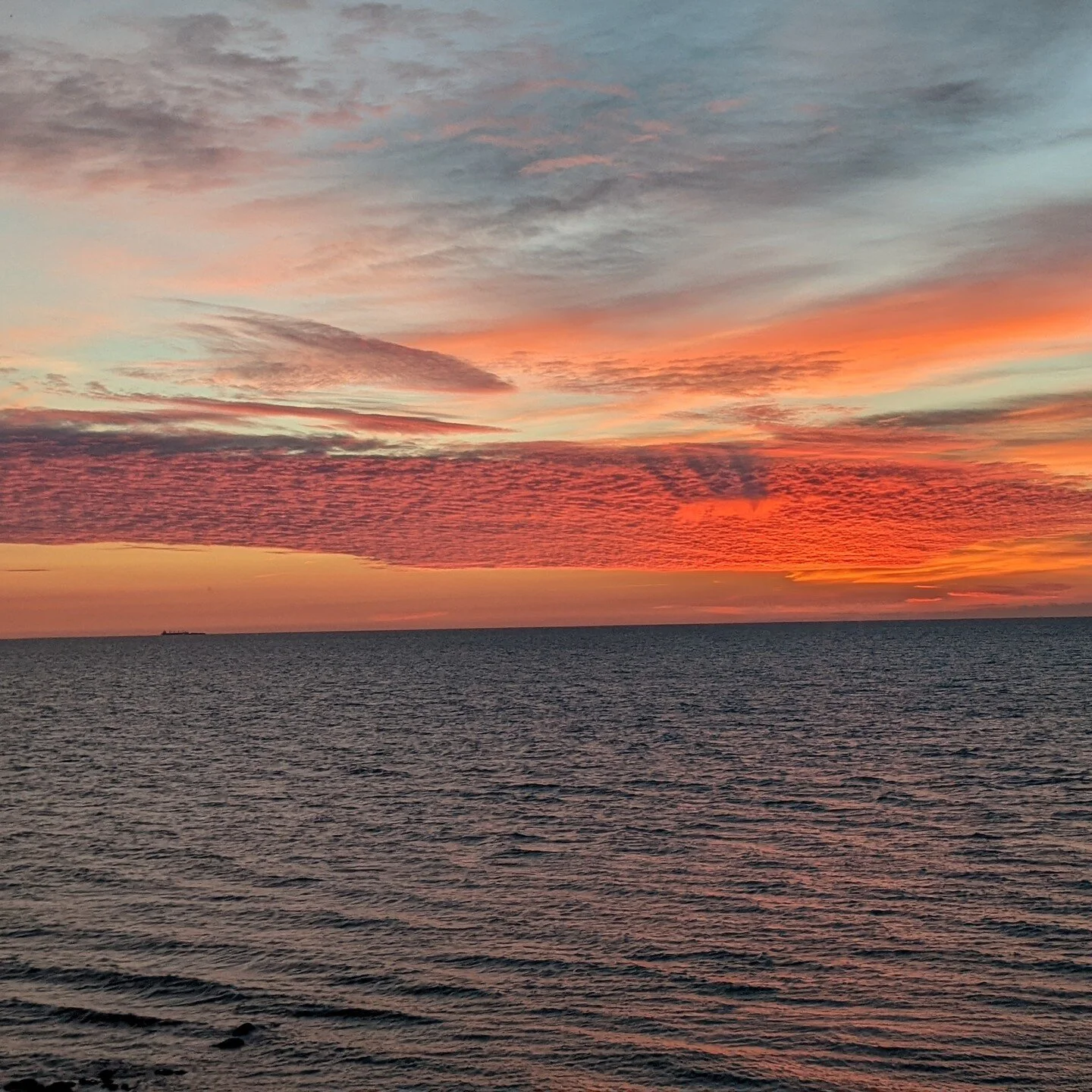 The sunrises are epic in Morningside!