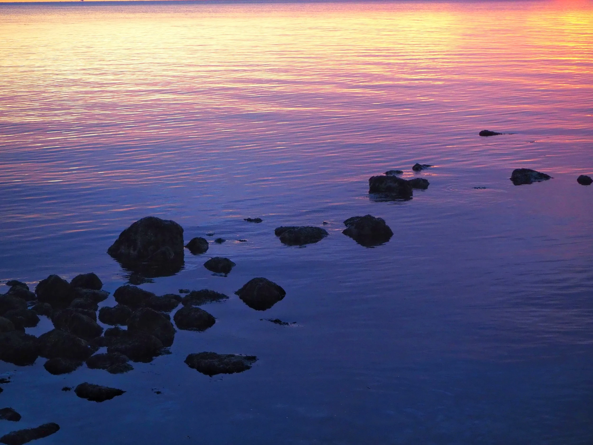 Morningside Moments by Ann $