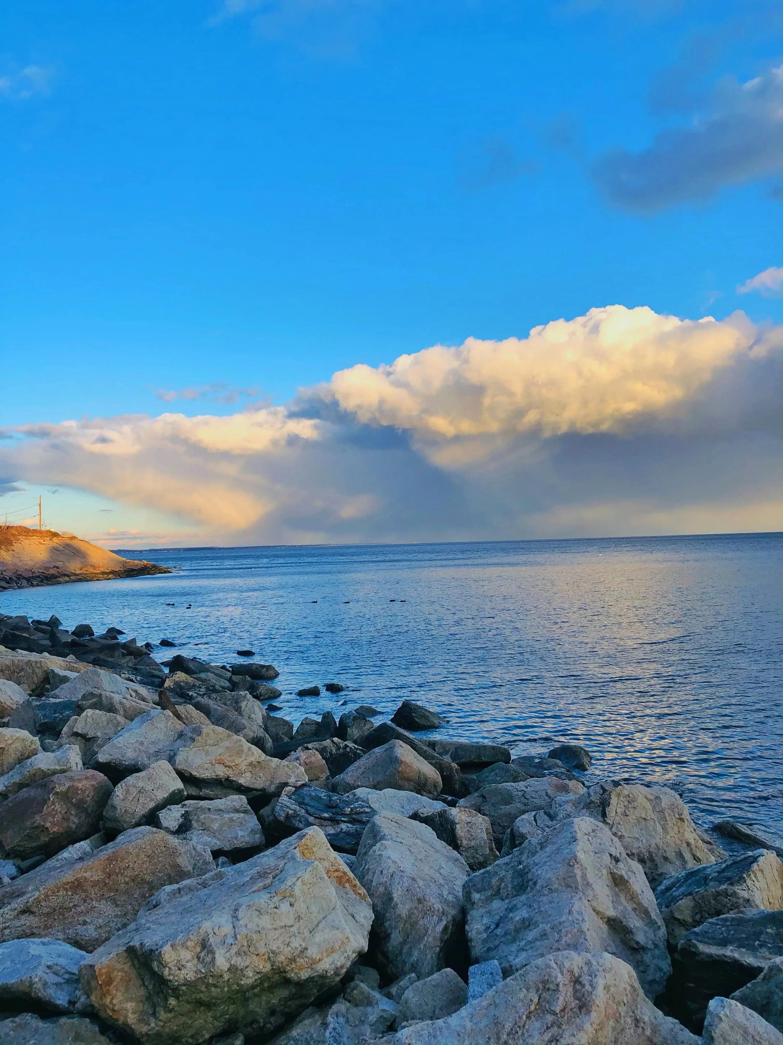 Morningside Moments by Ann $