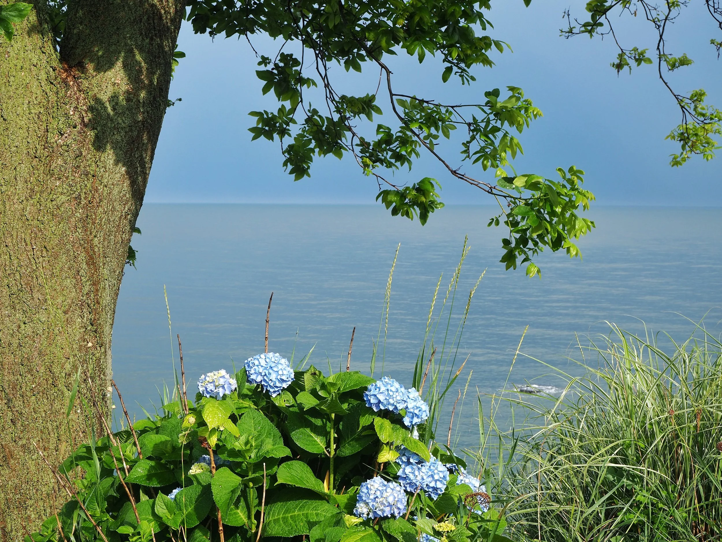 Morningside Moments by Ann $