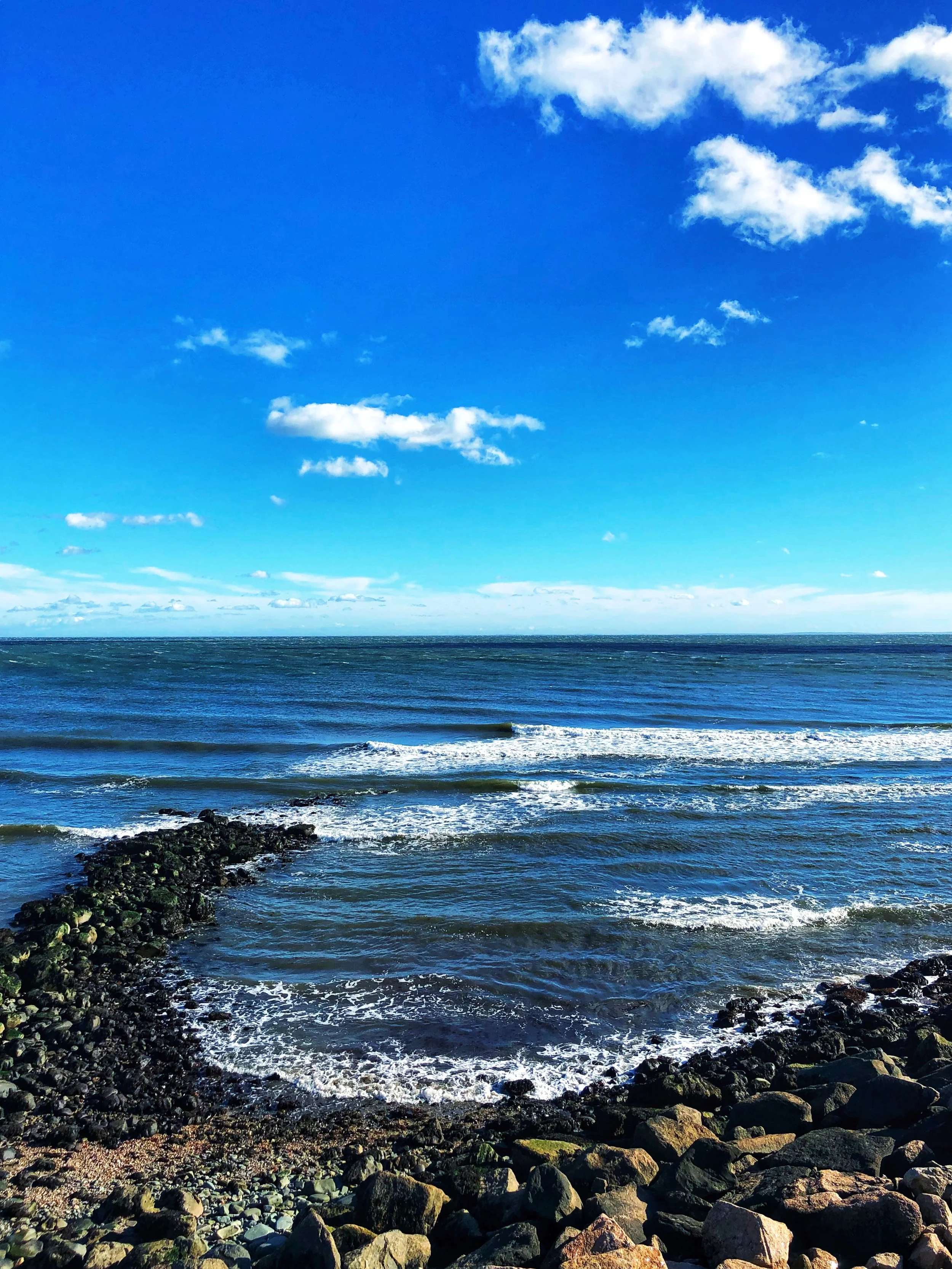 Morningside Moments by Ann $