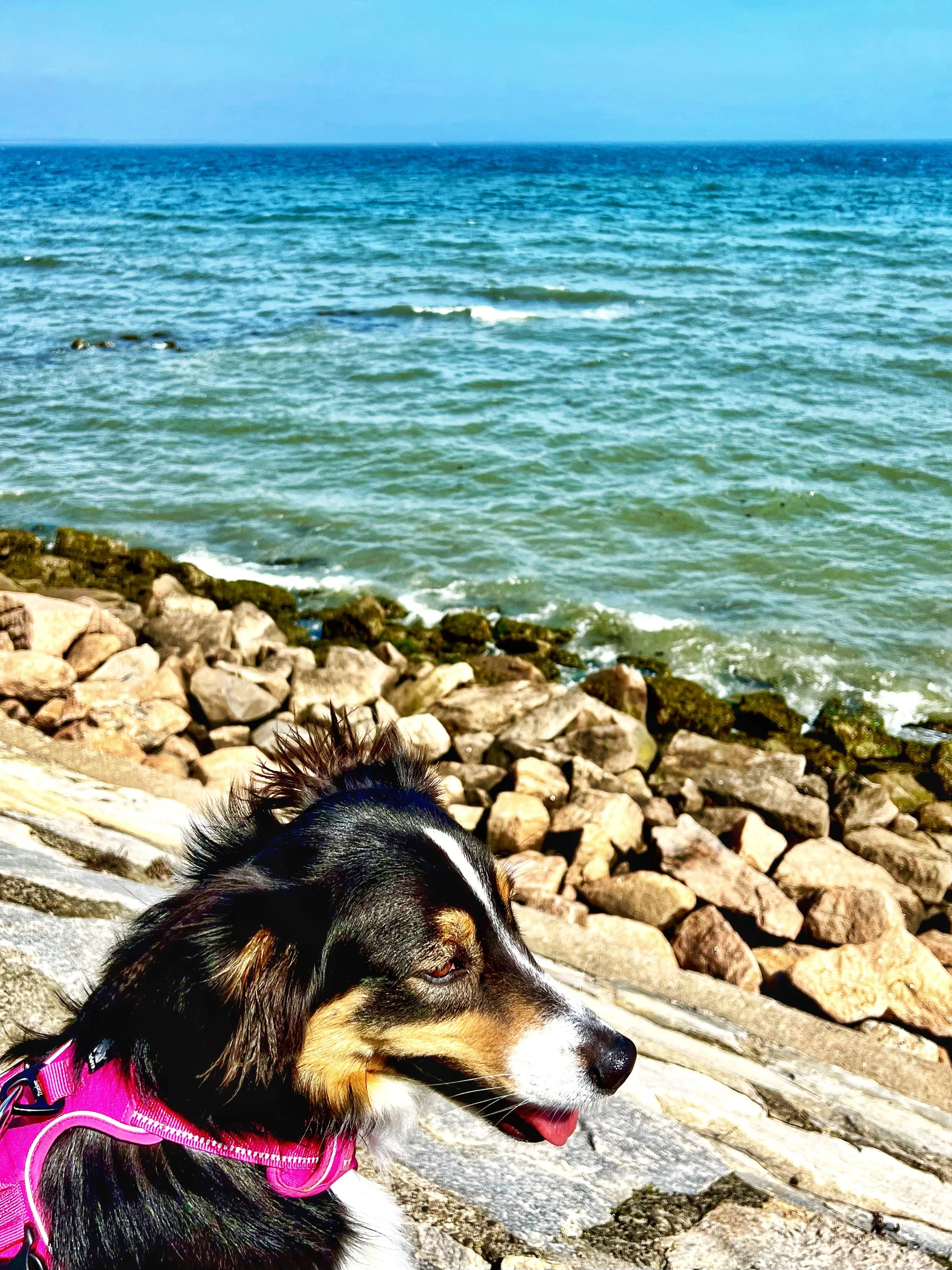 Morningside Moments by Ann $