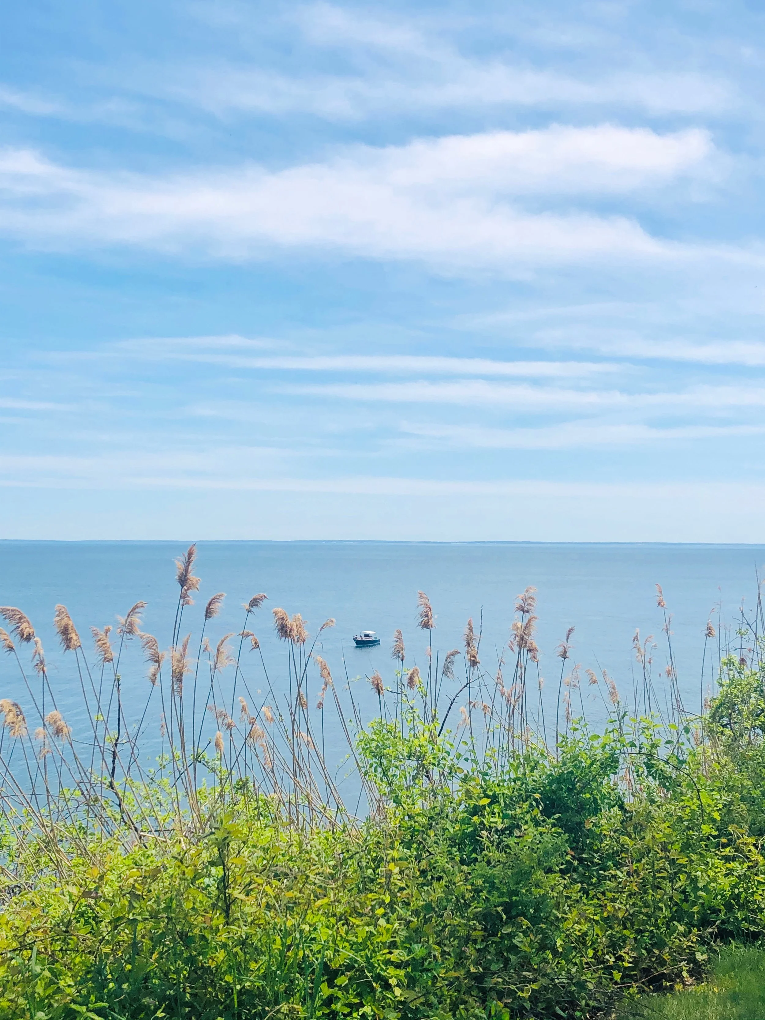 Morningside Moments by Ann $