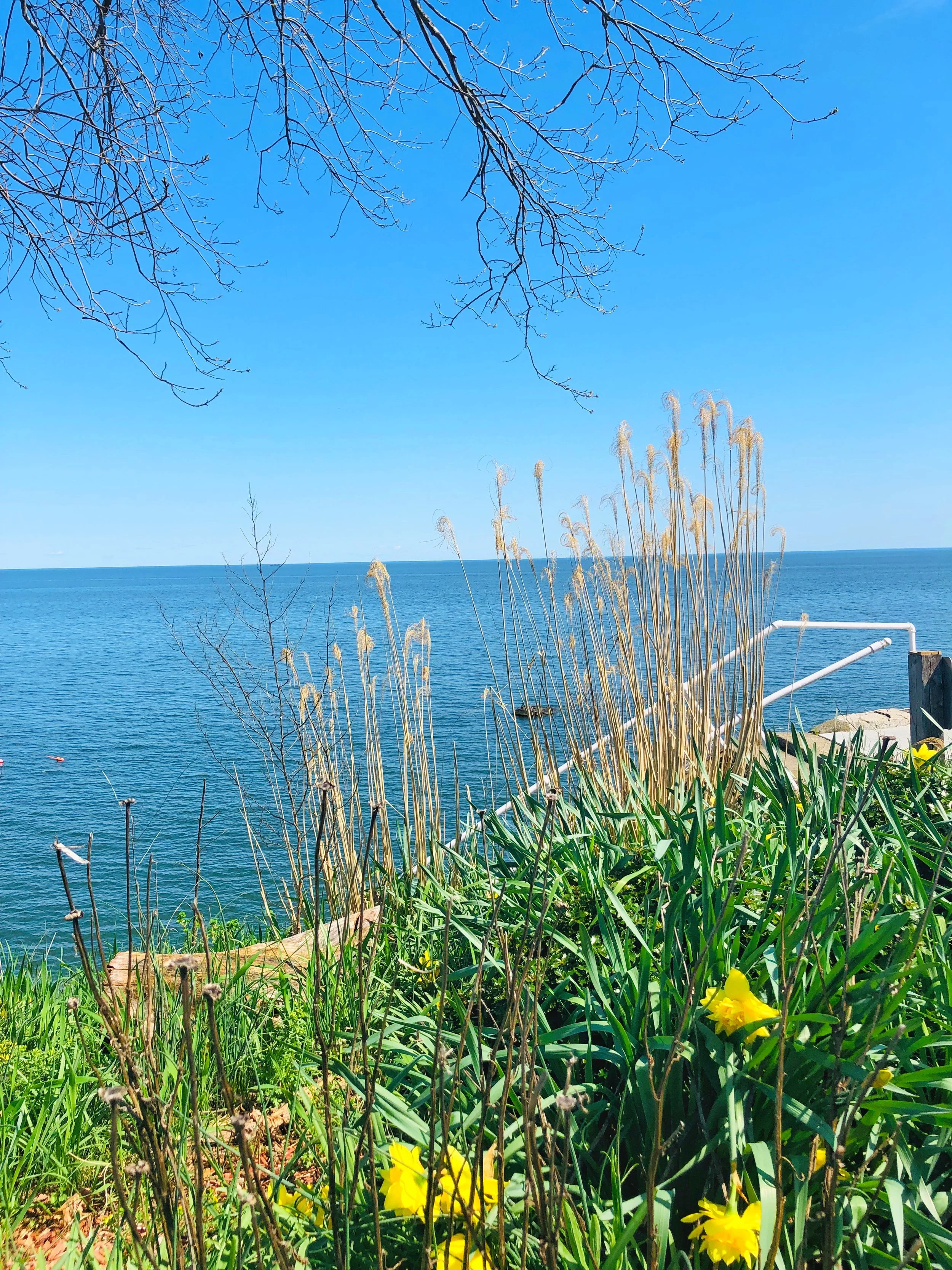 Morningside Moments by Ann $