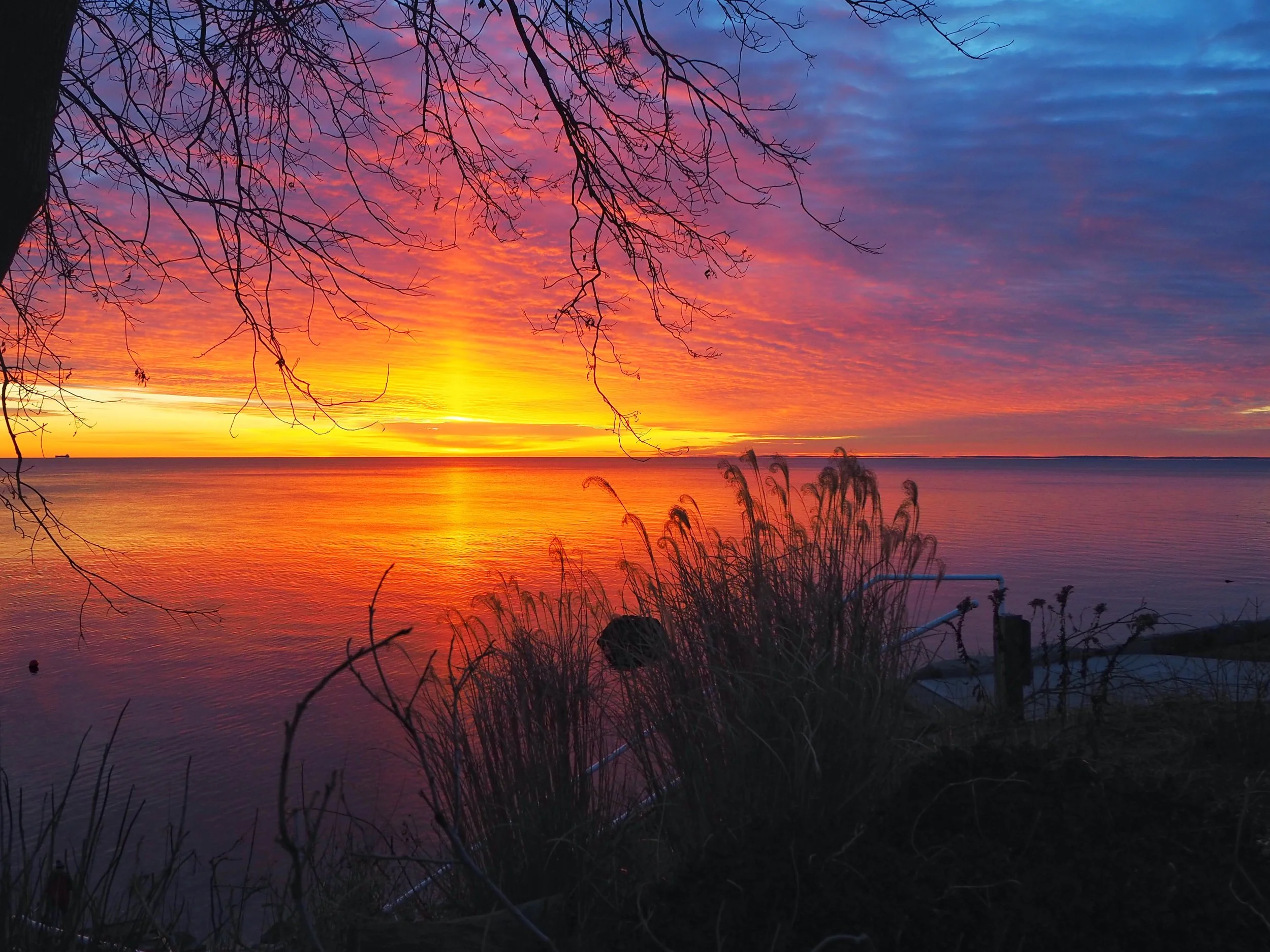 Morningside Moments by Ann $