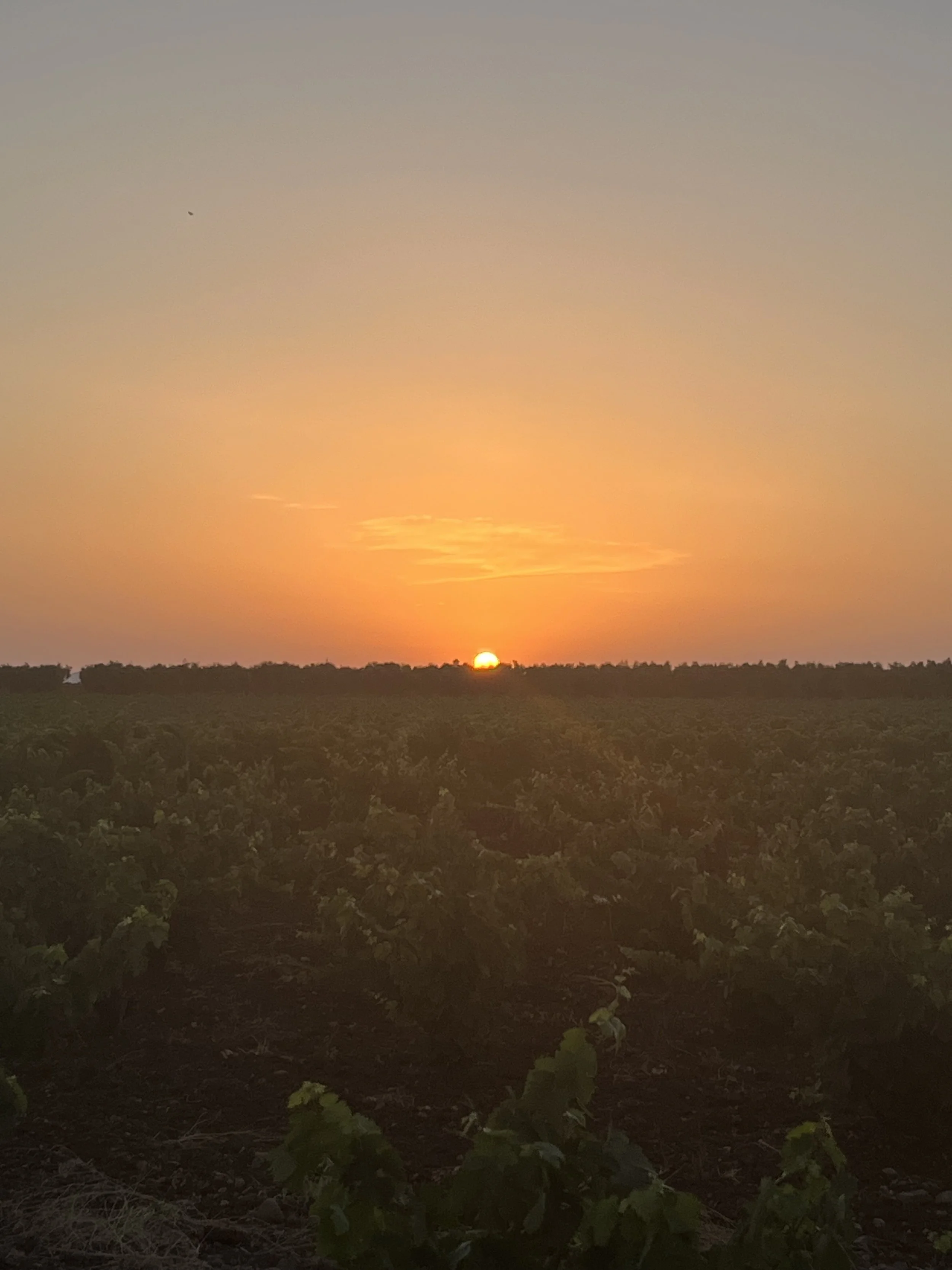 What is your intention for 2026?