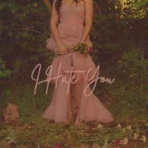 Lauren Black- I Hate Your