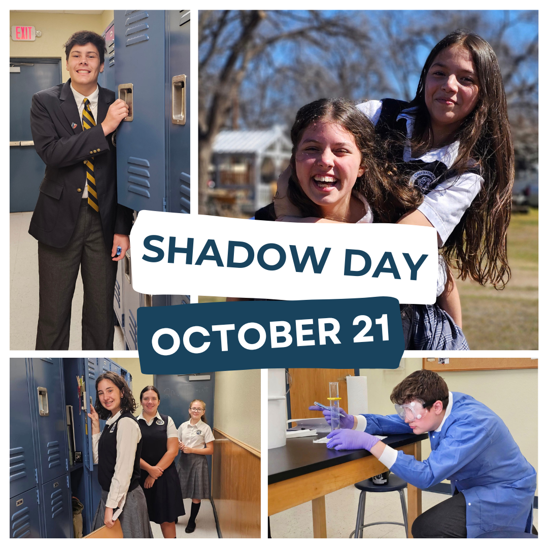 Shadow Day