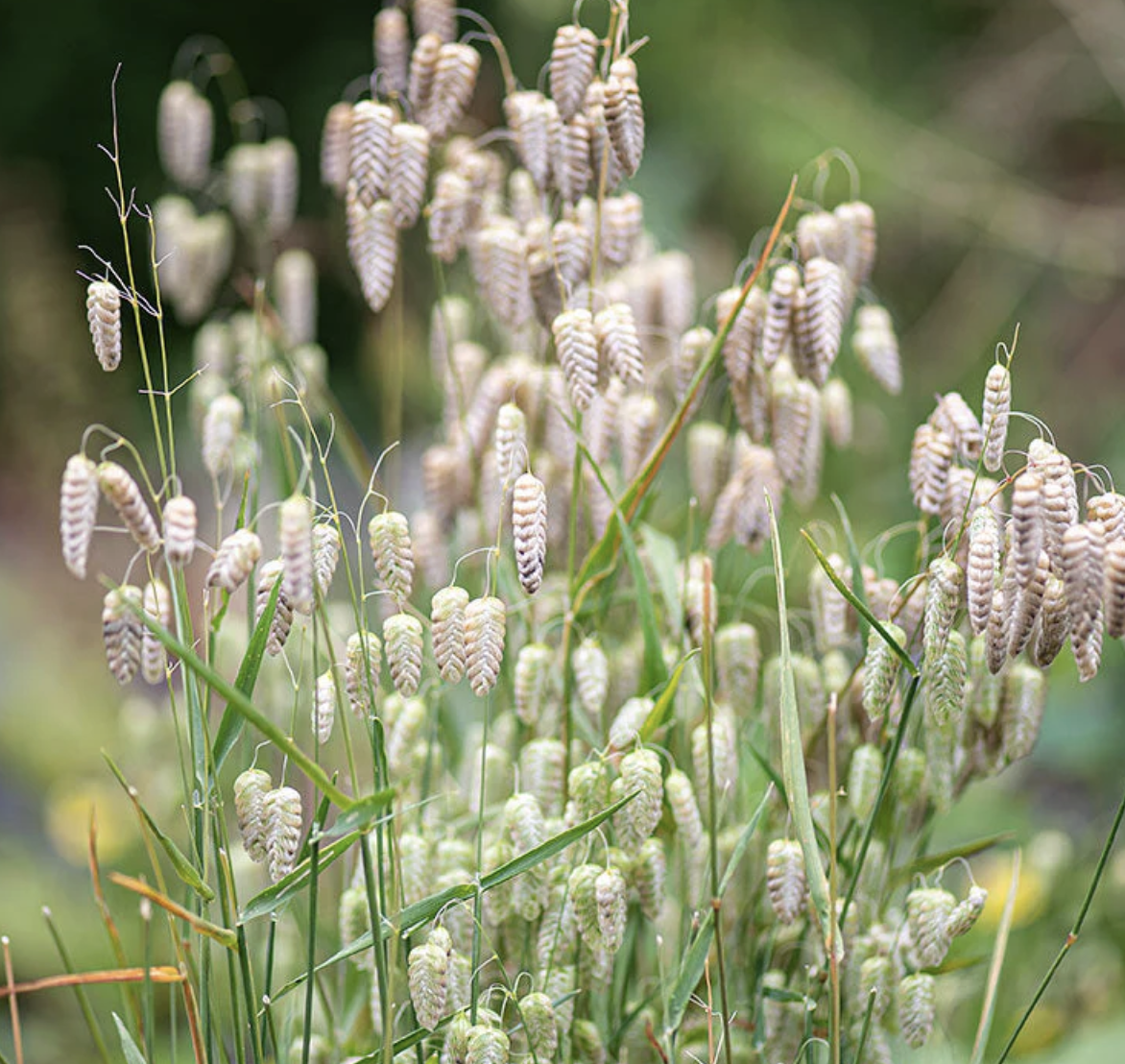 Screenshot 2026-03-24 at 10.11.25 PM.png