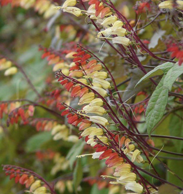 Screenshot 2026-04-08 at 5.18.51 AM.png