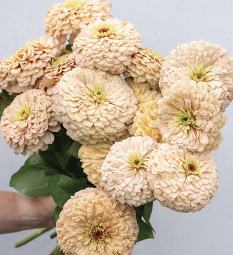 Screenshot 2026-03-31 at 1.40.48 AM.png