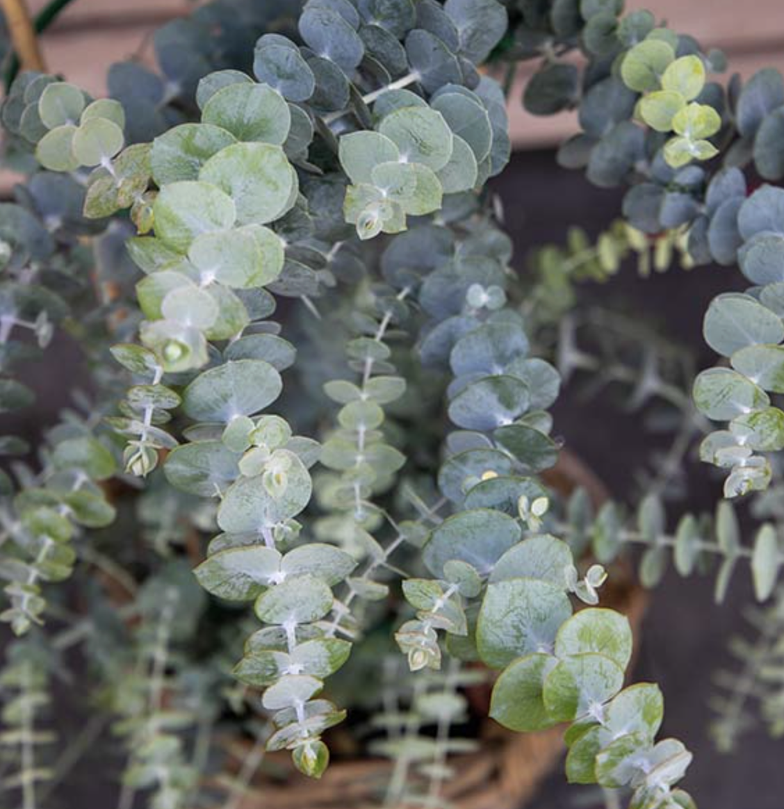 Screenshot 2026-04-14 at 8.45.03 AM.png