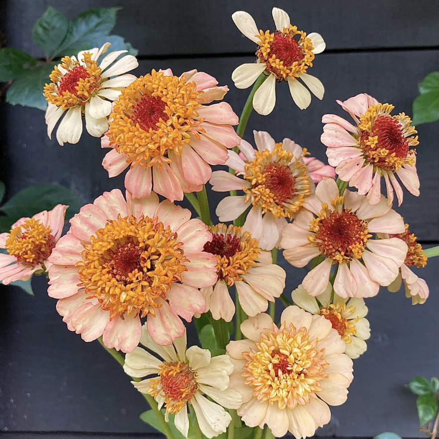 Screenshot 2026-04-08 at 4.41.09 AM.png