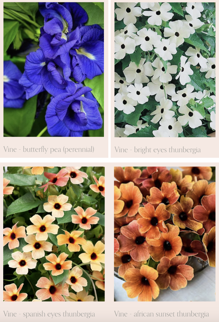 Screenshot 2026-04-21 at 9.39.02 PM.png