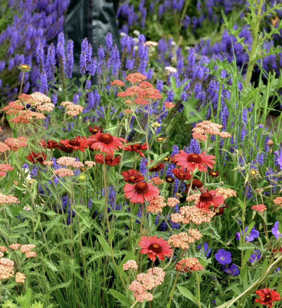 Screenshot 2026-04-21 at 11.41.23 PM.png