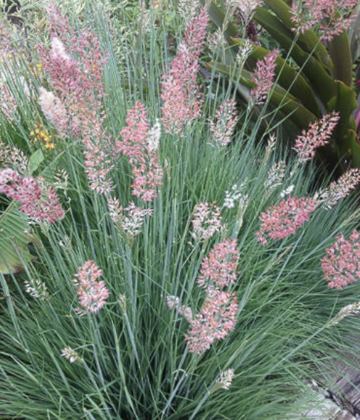 Screenshot 2026-03-24 at 10.16.36 PM.png