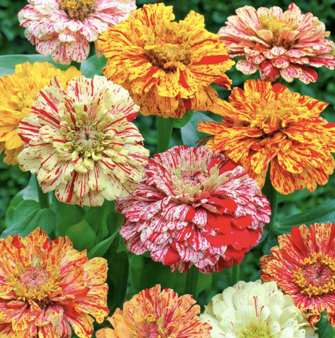 Screenshot 2026-04-08 at 4.29.17 AM.png