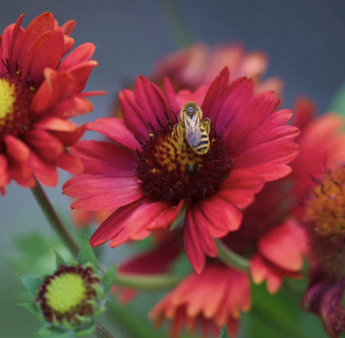 Screenshot 2026-03-24 at 10.59.20 PM.png