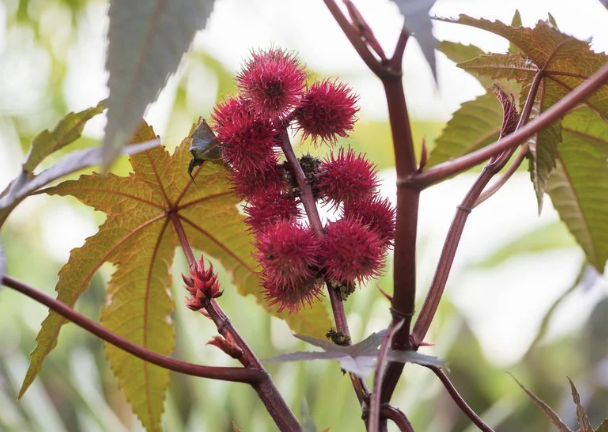 Screenshot 2026-03-24 at 9.58.58 PM.png