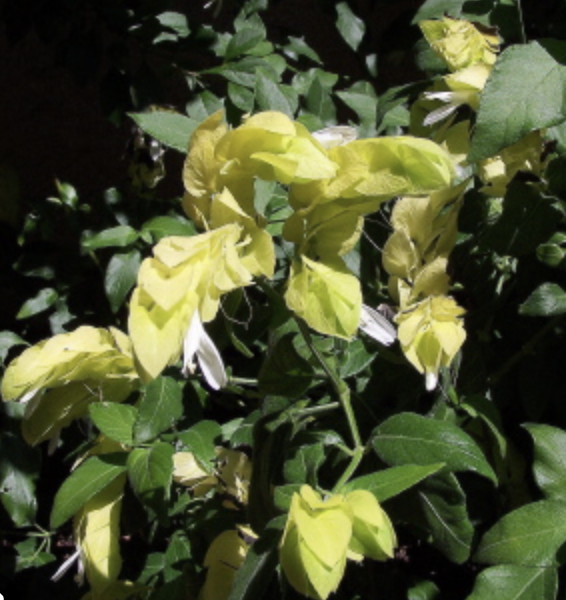 Screenshot 2026-03-24 at 11.26.41 PM.png