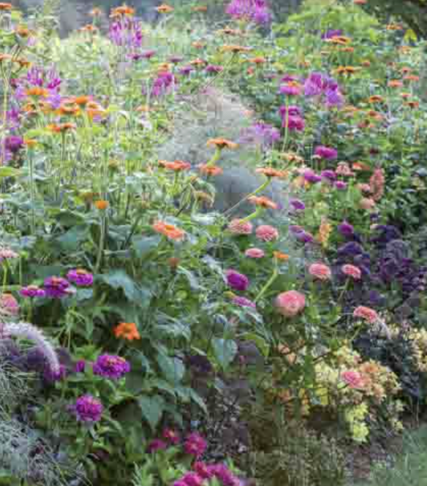 Screenshot 2026-04-21 at 11.37.43 PM.png