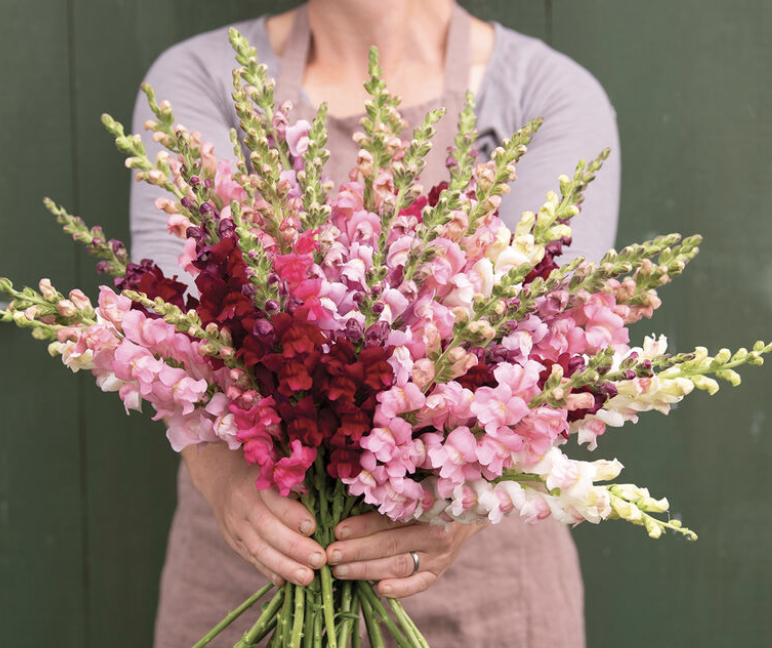 Screenshot 2025-11-01 at 3.29.55 PM.png