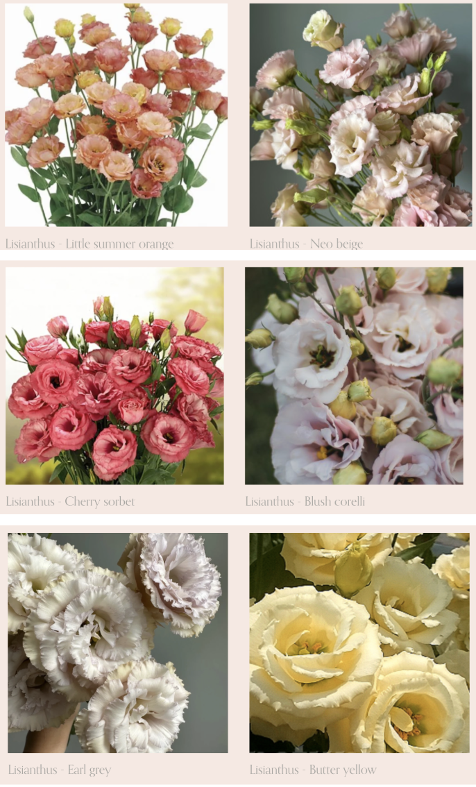 Screenshot 2026-04-21 at 9.32.44 PM.png