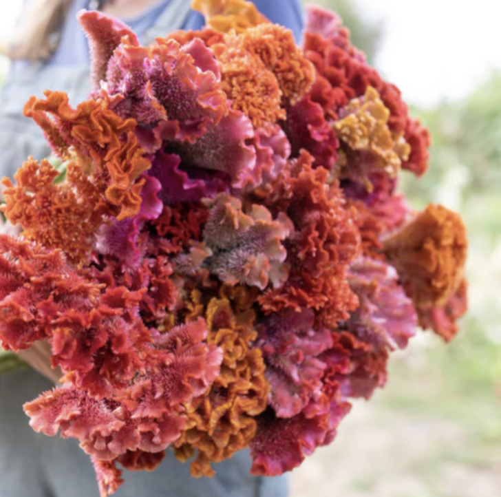 Screenshot 2026-03-31 at 2.40.43 AM.png