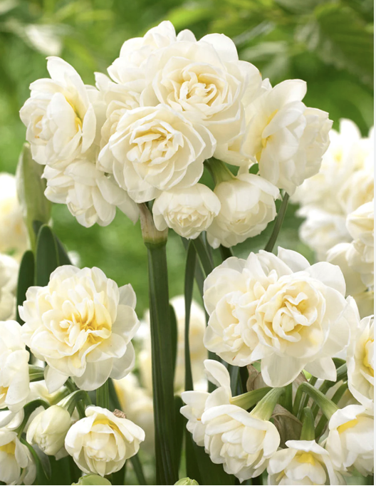 Screenshot 2025-11-01 at 4.03.02 PM.png