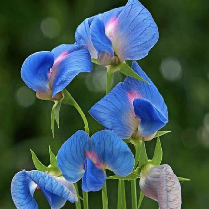 Screenshot 2025-11-01 at 3.40.11 PM.png