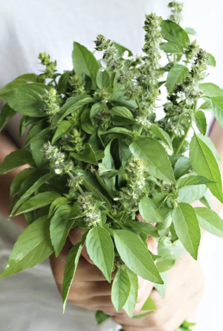 Screenshot 2026-03-24 at 9.49.13 PM.png