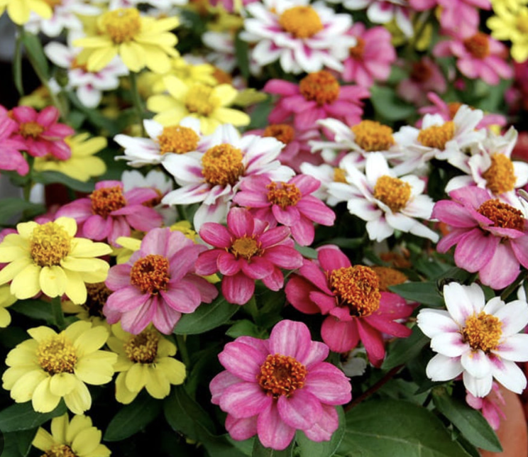 Screenshot 2026-03-31 at 1.34.08 AM.png