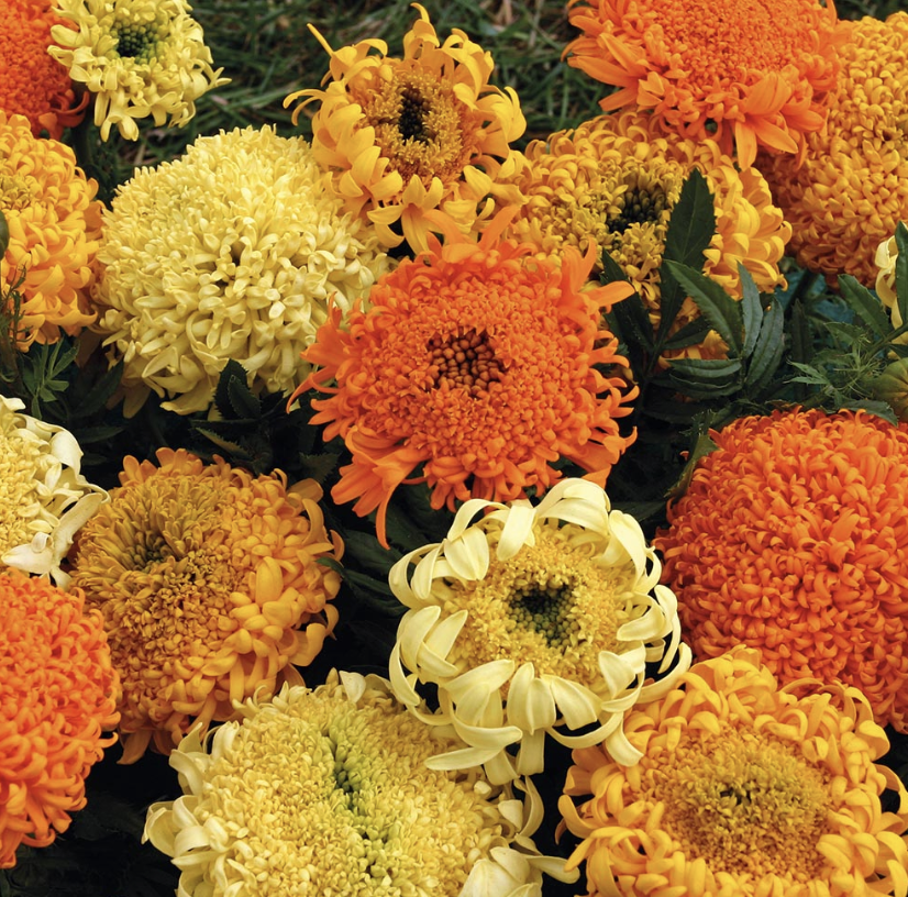 Screenshot 2026-03-24 at 10.27.47 PM.png