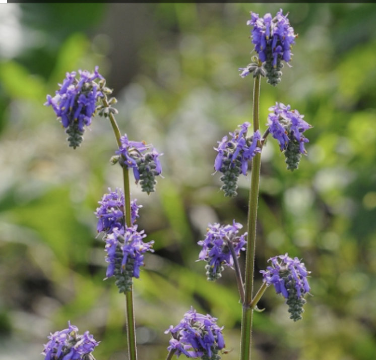 Screenshot 2026-03-24 at 9.26.12 PM.png